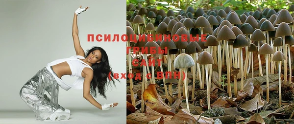 прущие крисы Михайлов
