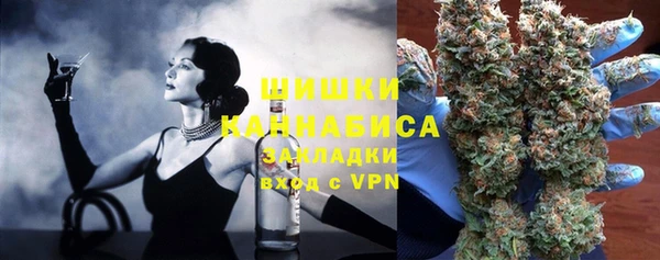 гидра Медногорск
