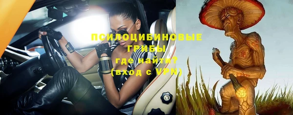 прущие крисы Михайлов