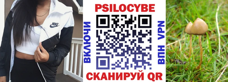 Галлюциногенные грибы мицелий  Малгобек 