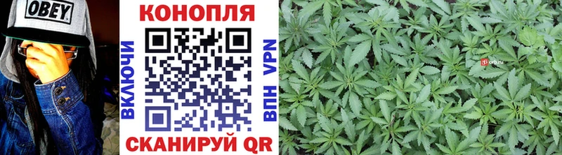 Марихуана SATIVA & INDICA  Малгобек 